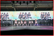 图片12.png 图片12.png
