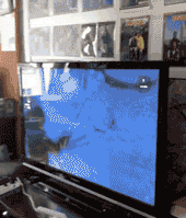 vfrk-hhkusks8028065.gif